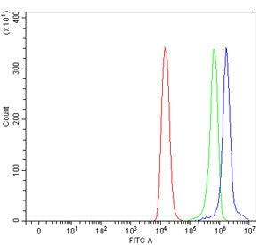 Flow cytometry testing of human Raji cells with Tetherin antibody at 1ug/million cells (blocked with
