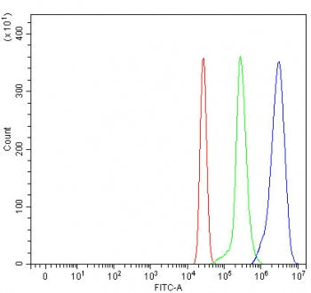 OXER1 Antibody / 5-oxo-ETE GPCR