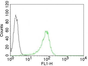 Intracellular flow cytometry testing of human 293T cells with Human Nuclear Antigen antibody; Black=