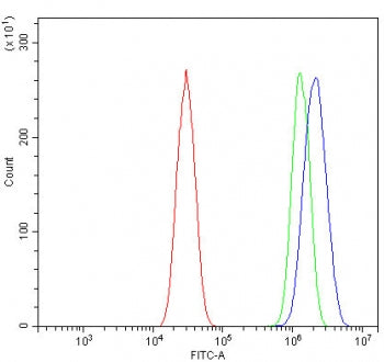 Flow cytometry testing of mouse HEPA1-6 cells with P2y12 antibody at 1ug/million cells (blocked with