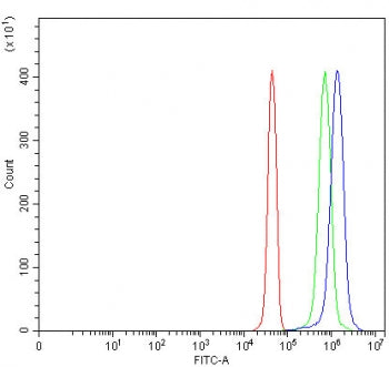 PSMF1 Antibody / PI31 / Proteasome inhibitor PI31 subunit