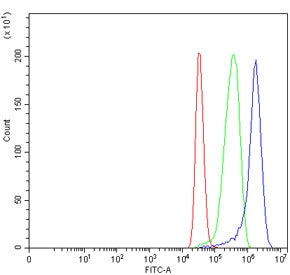 MST4 Antibody / STK26 / MASK