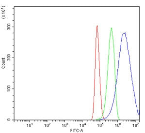 Flow cytometry testing of human U-87 MG cells with NRP1 antibody at 1ug/million cells (blocked with