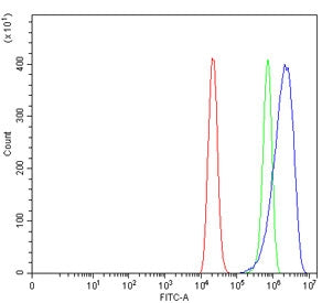 TRPM2 Antibody / EREG1
