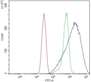 RNase L Antibody / Rnasel