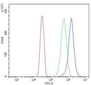 NRXN3 Antibody