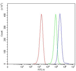 Flow cytometry testing of mouse ANA-1 cells with Cd86 antibody at 1ug/million cells (blocked with goat sera); Red=cells alone, Green=isotype control, Blue= Cd86 antibody.