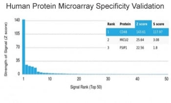 Analysis of HuProt(TM) microarray containing more than 19,000 full-length human proteins using CD48