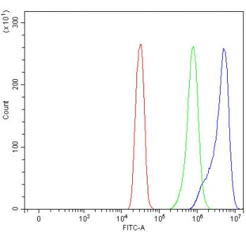 APLP1 Antibody