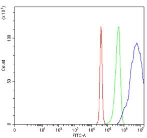 SAP30 Antibody / Sin3-associated polypeptide p30