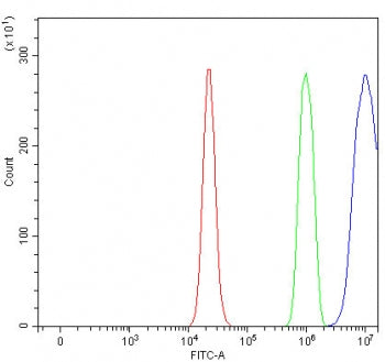 Flow cytometry testing of fixed and permeabilized human RT4 cells with PTPN13 antibody at 1ug/millio