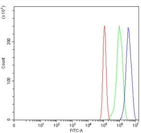 Flow cytometry testing of human PC-3 cells with TGIF1 antibody at 1ug/million cells (blocked with go