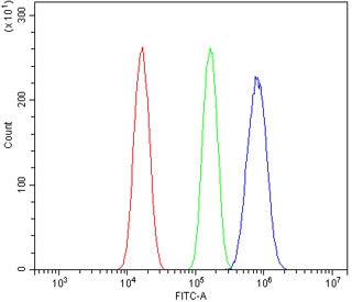 Aryl Hydrocarbon Receptor Antibody / Ahr