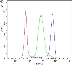 CD47 Antibody / IAP / Integrin Associated Protein