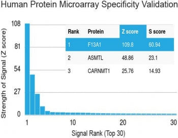 Protein array validation of the Factor XIIIa antibody: Analysis of HuProt(TM) microarray containing