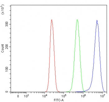 Flow cytometry testing of human HepG2 cells with Girdin antibody at 1ug/million cells (blocked with