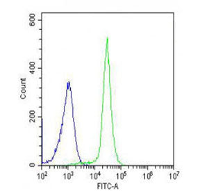 Flow cytometry testing of fixed human K562 cells with IL1RL2 antibody; Blue=isotype control, Green=