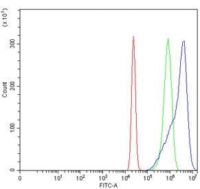 HMOX1 Antibody / Heme Oxygenase 1 / HO-1