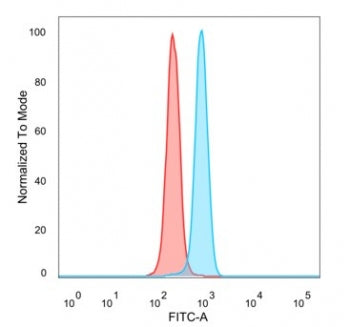 SNW1 Antibody / NCoA-62 / SKIP
