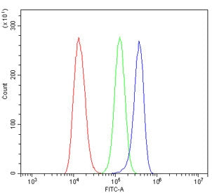Flow cytometry testing of human HeLa cells with SLC22A3 antibody at 1ug/million cells (blocked with