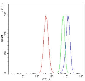 RAPGEF3 Antibody / Epac1