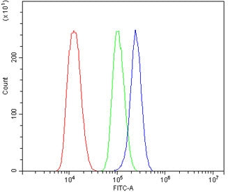 Flow cytometry testing of human ThP1 cells with OFD1 antibody at 1ug/million cells (blocked with goa