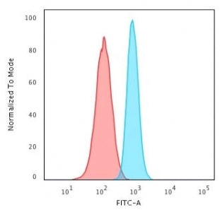 PCNA Antibody