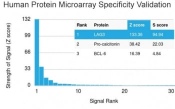 Analysis of HuProt(TM) microarray containing more than 19,000 full-length human proteins using LAG3