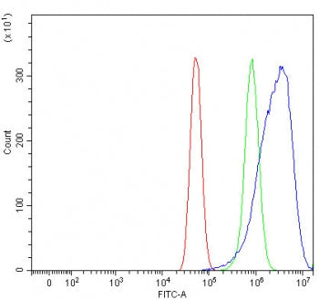 SLC35D1 Antibody / UGTrel7