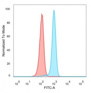 MYCN Antibody