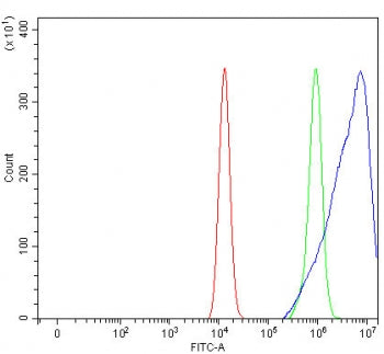 Flow cytometry testing of fixed and permeabilized human HEL cells with PSD2 antibody at 1ug/million