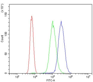 HOMER3 Antibody