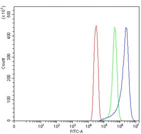 Flow cytometry testing of human SiHa cells with TMEM65 antibody at 1ug/million cells (blocked with g