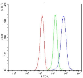 Flow cytometry testing of human Jurkat cells with RBM41 antibody at 1ug/million cells (blocked with
