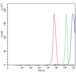 Flow cytometry testing of human RT4 cells with LHX4 antibody at 1ug/million cells (blocked with goat