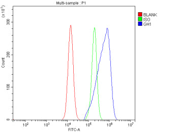 Flow Cytometry analysis of HEL cells using anti-GH1 antibody. Overlay histogram showing HEL cells st