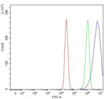 RUFY1 Antibody / RUN and FYVE domain-containing protein 1