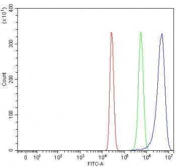 Pirh2 Antibody / RCHY1
