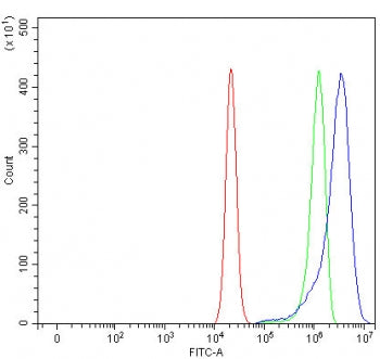 Flow cytometry testing of human RT4 cells with TMEM59 antibody at 1ug/million cells (blocked with go