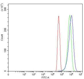 Flow cytometry testing of human U-251 cells with CYP8A1 antibody at 1ug/million cells (blocked with