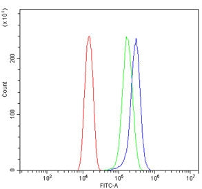 Flow cytometry testing of human U-2 OS cells with THBS1 antibody at 1ug/million cells (blocked with