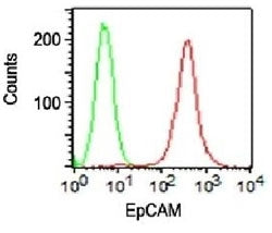 Surface FACS staining of HT29 cells using PE conjugated EpCAM antibody (red) and isotype control ant