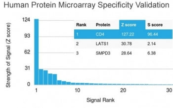 CD4 Antibody