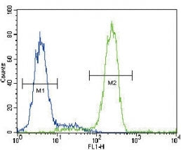 PPARG antibody flow cytometric analysis of human HepG2 cells (green) compared to a negative control