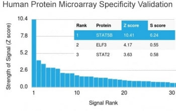Analysis of HuProt(TM) microarray containing more than 19,000 full-length human proteins using STAT5