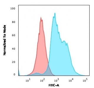 Flow testing of PFA-fixed Jurkat cells with ZAP70 antibody (clone ZAP70/2047); Red=isotype control,