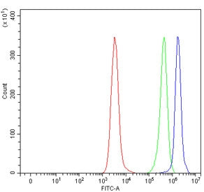 Flow cytometry testing of human Daudi cells with SLIT2 antibody at 1ug/million cells (blocked with g