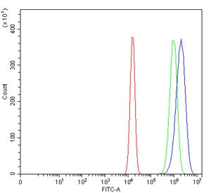 EIF3E Antibody