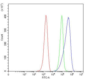 Flow cytometry testing of mouse ANA-1 cells with C5B antibody at 1ug/million cells (blocked with goat sera); Red=cells alone, Green=isotype control, Blue= C5B antibody.