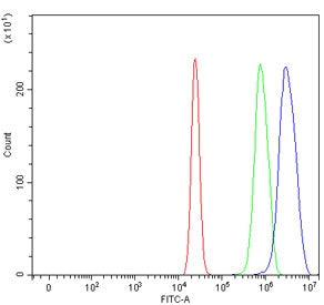 Flow cytometry testing of human U-2 OS cells with Serpin B13 antibody at 1ug/million cells (blocked